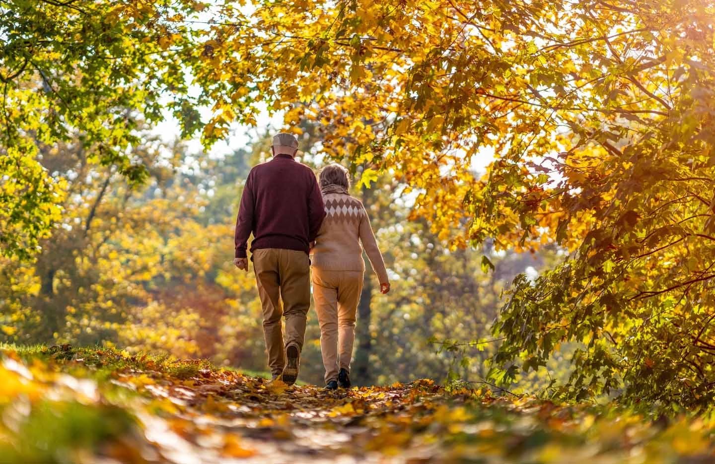 Älteres Paar geht Hand in Hand auf einem mit Herbstlaub bedeckten Waldweg unter Bäumen mit gelb-orangefarbenem Laub